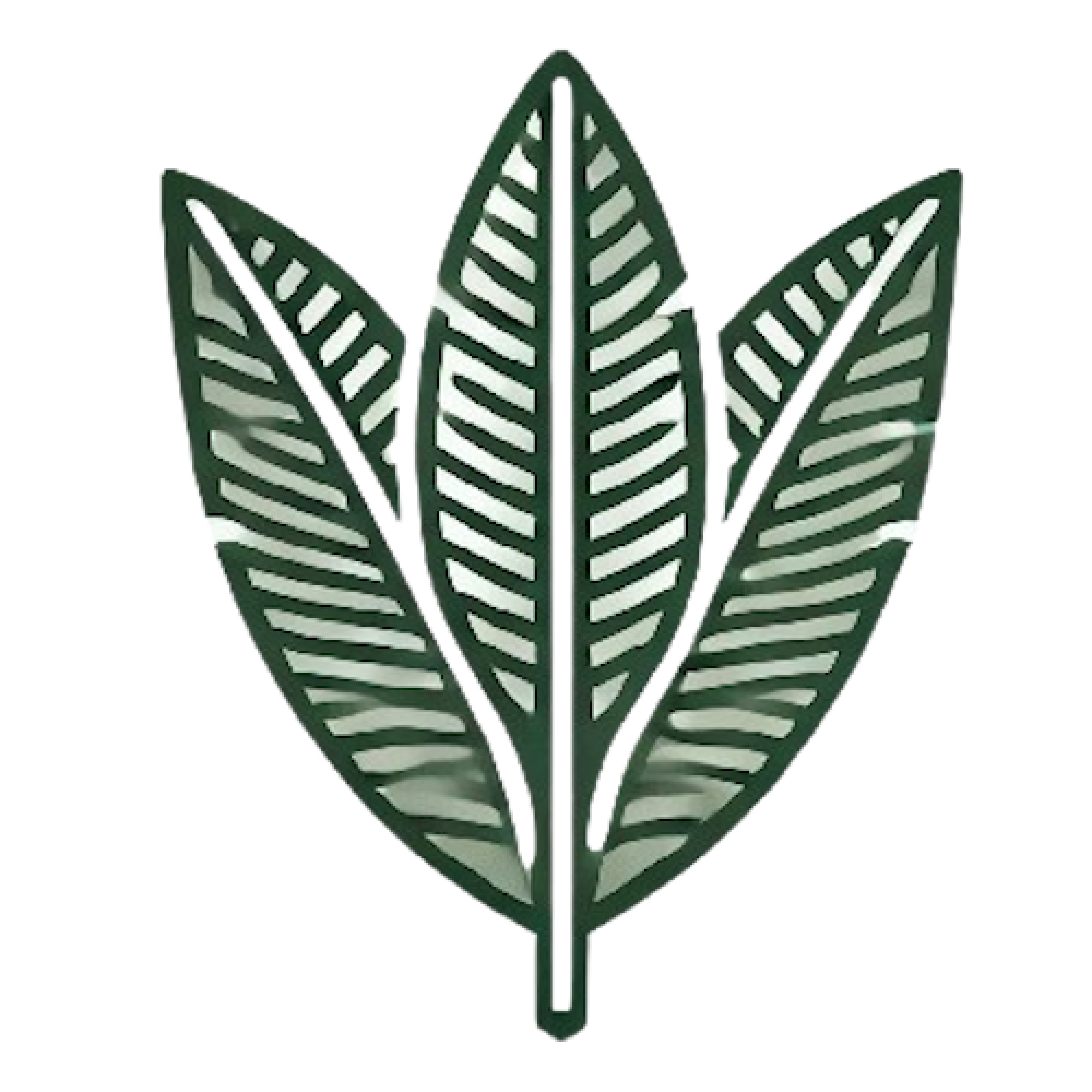 Fresh Banana Leaf